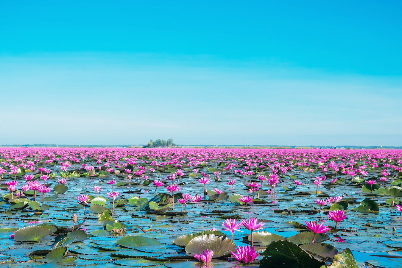 สำนักงานพาณิชย์จังหวัดมหาสารคาม